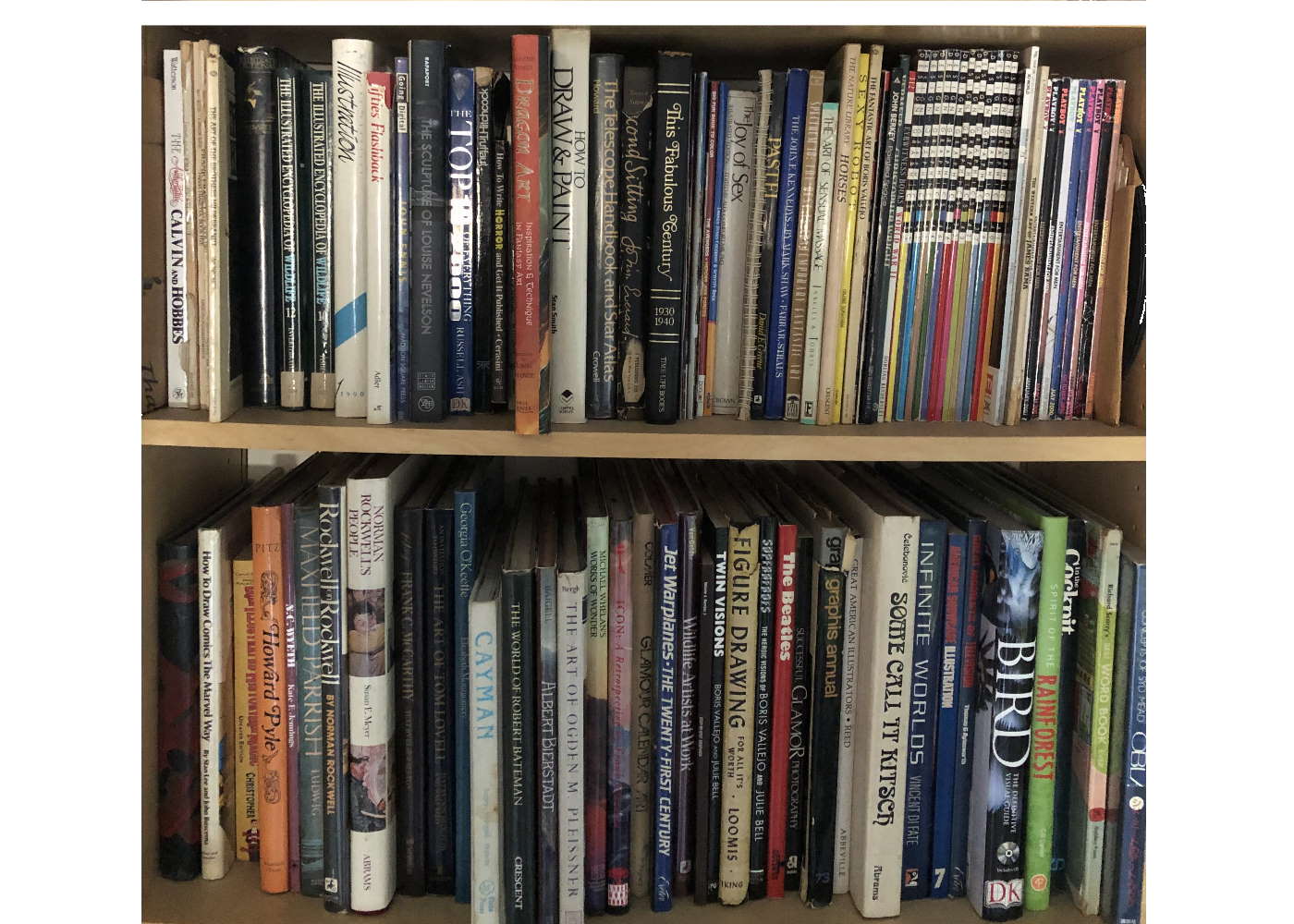 Robert S Brown Artist Studio Library