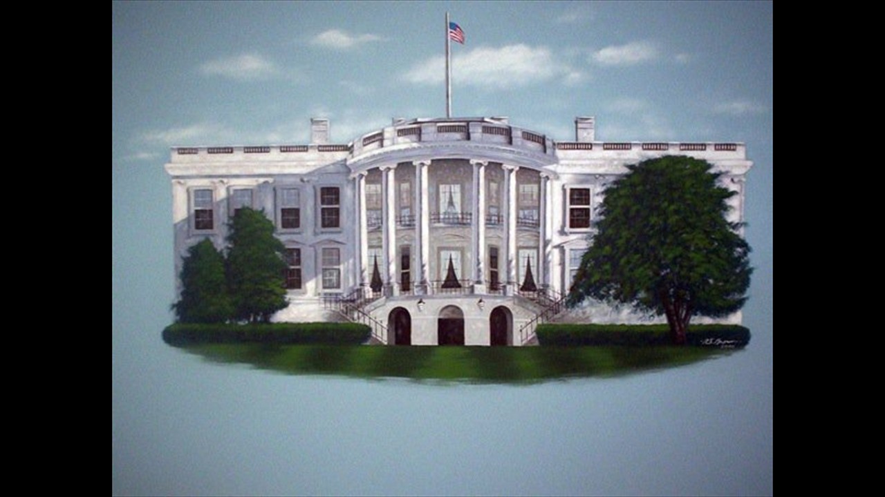 white-house-wall-mural